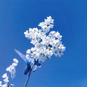 无尽夏 - Memory -