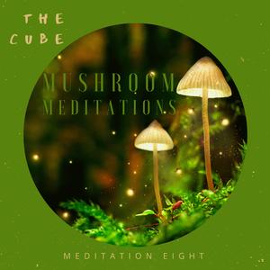 Meditation Eight