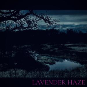 Push (Against the Weight of Reality)