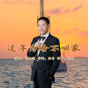 过年为啥不回家