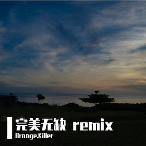 完整无缺 remix