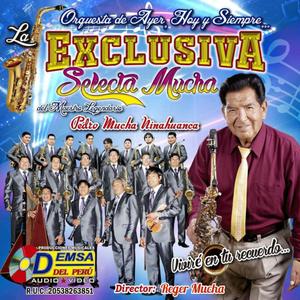 Pasa la Exclusiva (Pasacalle) - Aires tunanteros