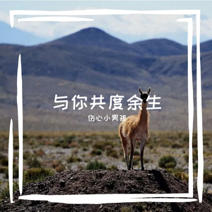 FC Groningen FanChants-赢领风扇（伤心小男孩 remix）