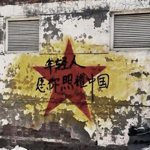 五月的鲜花 伴奏