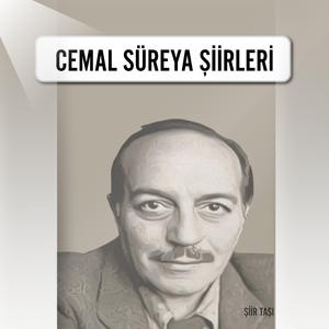 SEVGİLİM,BİR GÜNÜN