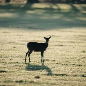 只字不提(Cover 于和伟)