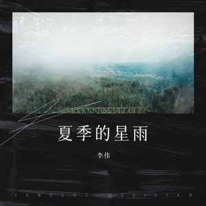 夏夜的星雨