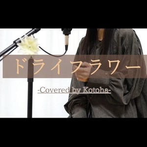 ドライフラワー