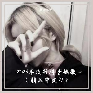 男人花（DJ车载版）