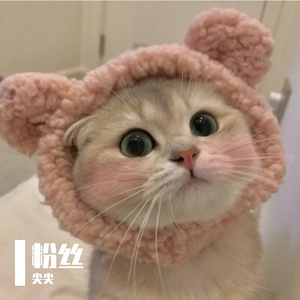 粉丝
