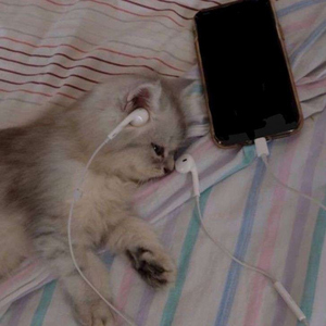 Gitmiyor Gözümden (Speed Up)