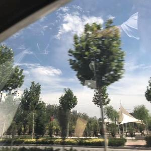 我不是你的宋冬野