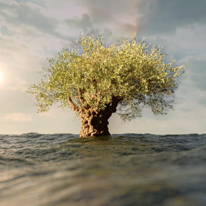 Mediterranean (Meditation)