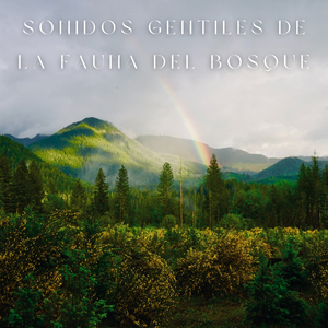 La Marcha De Las Hormigas