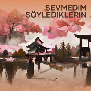 Sevmedim Söylediklerin