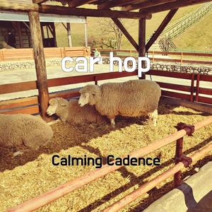 car hop