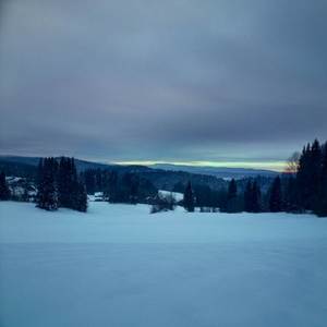 Winter