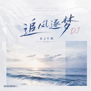 追风逐梦