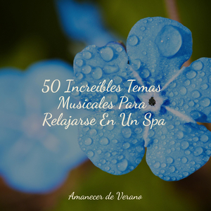 Recuerdo Cubierto de Nieve