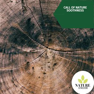 Morning in African Rainforest