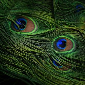 【荻花题叶/风花雪月相关】浓