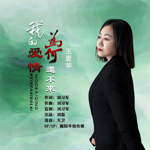 我的爱情为何还不来 (DJ伟然版)