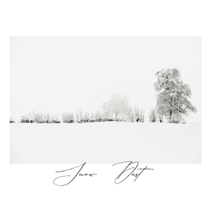 Snow Dust