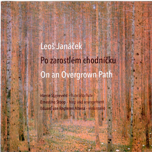 Po Zarostlem Chodnicku (On an Overgrown Path): VI. Nelze Domluvit! [Words Fail!] [Arr. for Flute, Harp & Cello]