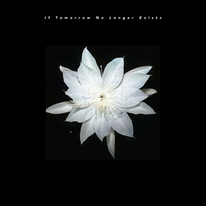 If Tomorrow No longer Exists