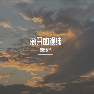离开的视线