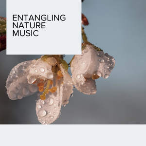 Peacful Angelic Texture