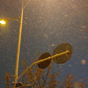 雪下的时候（翻自:乔佳旭)