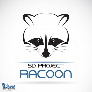 Racoon (Original Mix)