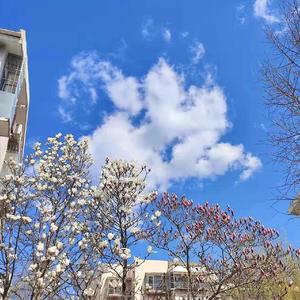 小祺哦（纯音乐）