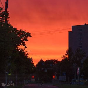 молочный улун