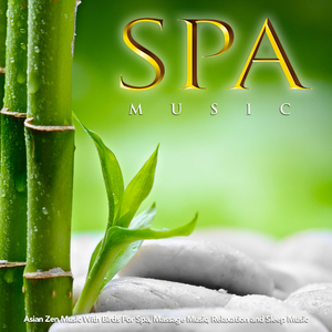 Background Spa Music