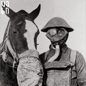 The Scream That No One Heard