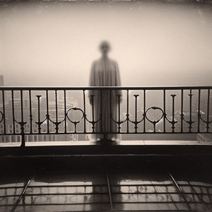 Pink Panther Chronicles