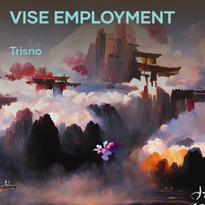 Vise Employment