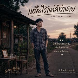 เพลง เหลือไว้แค่คำว่าเคย
