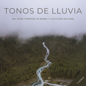 Tonos De Lluvia: Una Calma Atmósfera De Bosque y Lluvia Para Relajarse - 3 Horas