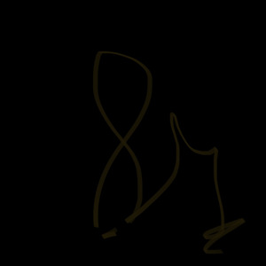 Gucci O Prada