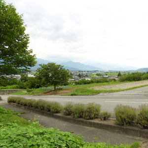 一休みしたら迷子に戻りたい