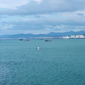不死鸟