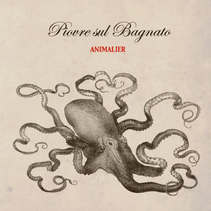 L'Anatra dal Discreto Piumaggio