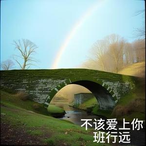 一双会说话的眼睛