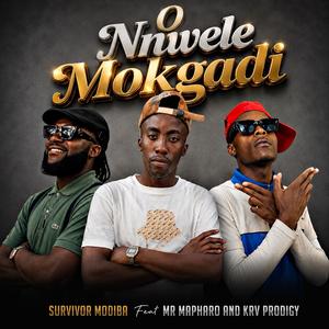 O nnwele mokgadi (feat. Mr Mapharo & Krv prodigy)
