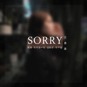 我想对你说一句迟到的对不起 (正式版)