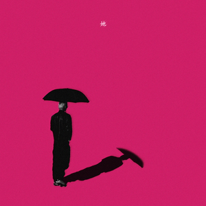 她（Ta）
