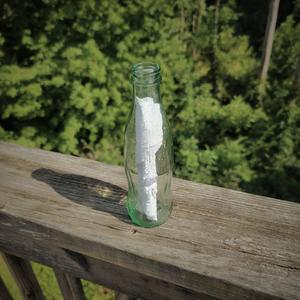 Green Glass Bottle (GoshJosh Remix)